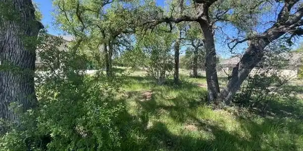 41738 Fire Dance