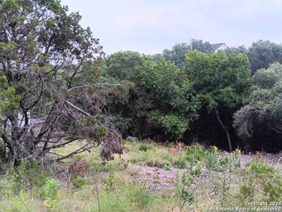 421 LEXINGTON PASS