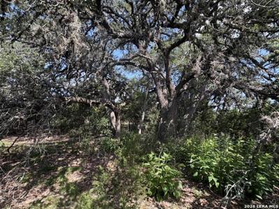 LOT 2025 Split Ridge