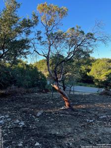 340 LEDGEVIEW DR