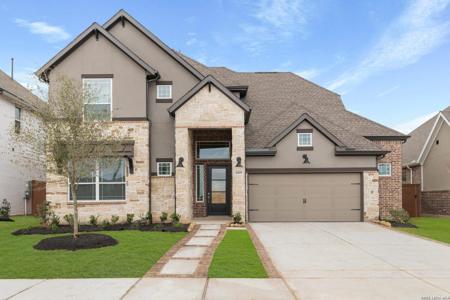 530 Canyon Live Oak
