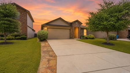 2122 Silver Maple