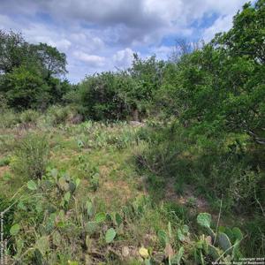 LOT 96 Castleshoals Dr.
