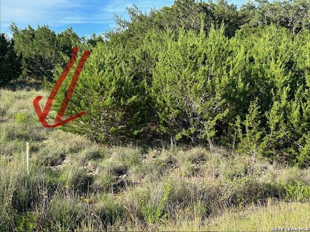 Image 4: Front left approximate boundary marker
