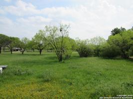 323 Sweetgrass