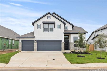 529 Canyon Live Oak