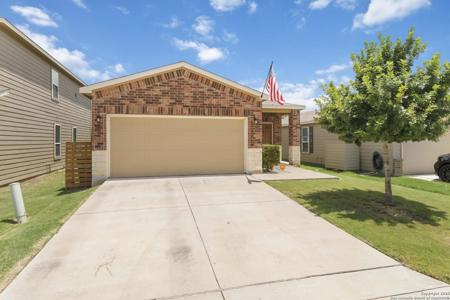 235 Elderberry