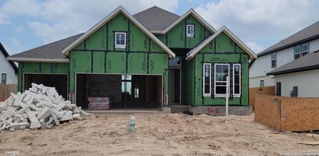 525 Canyon Live Oak