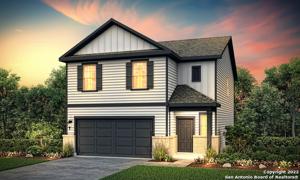 165 Canopy Oak