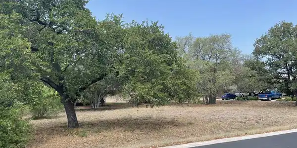 100 Burr Oak