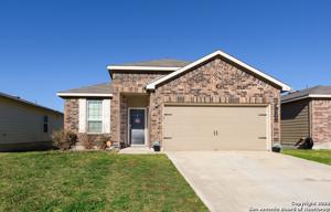 228 TEXAS THISTLE