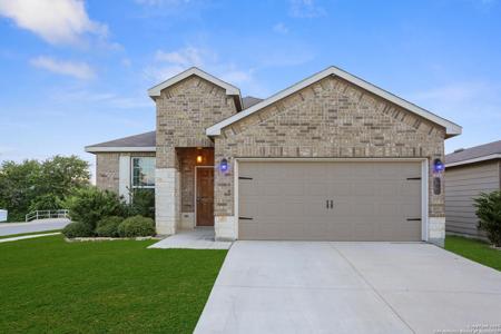 166 Texas Thistle