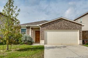 134 Texas Thistle