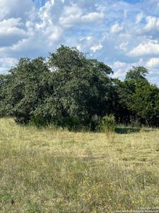 317 Bosque Ridge