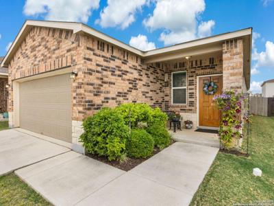 206 Elderberry
