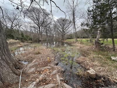 165 BLUE BONNET HILL CIR