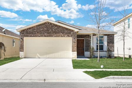 208 TEXAS THISTLE