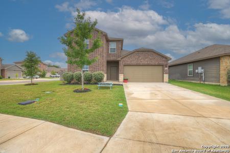2134 Wood Drake