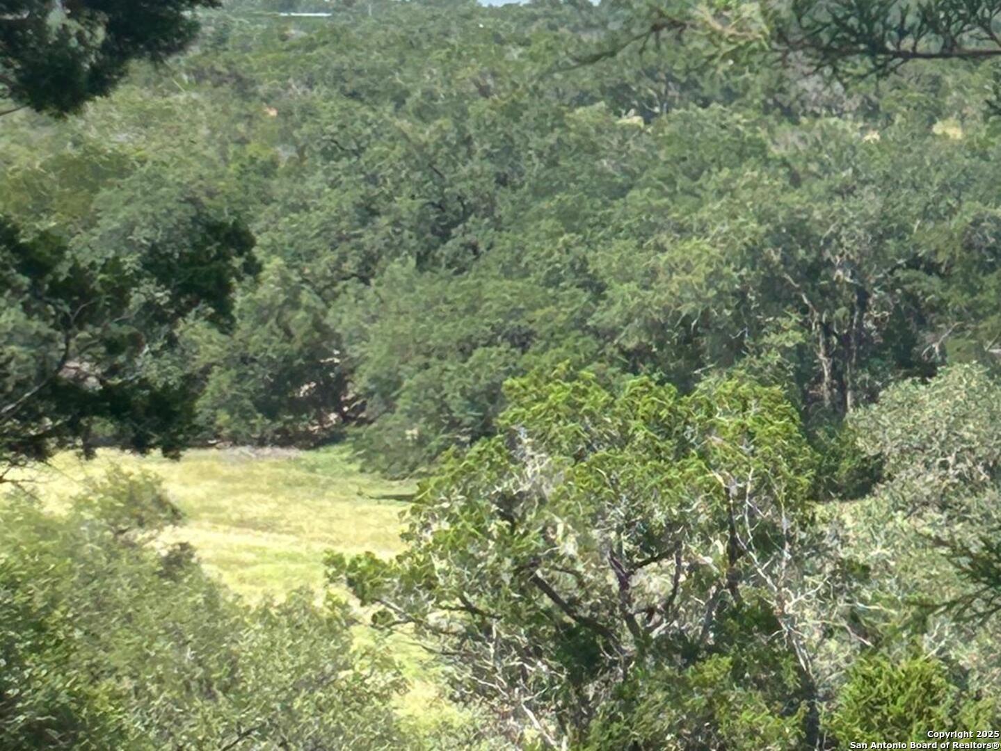 Image 3: Shady views off greenbelt watershed area below.