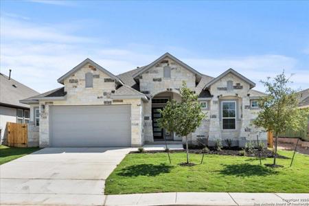 509 Canyon Live Oak