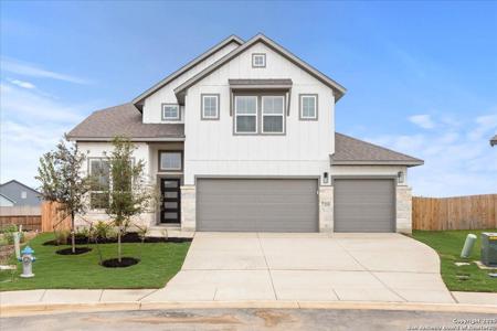 210 Scarlet Oak
