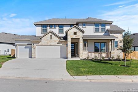 421 Canyon Live Oak