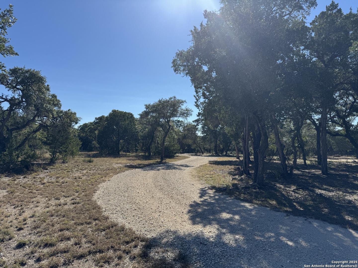 Image 3: Private driveway to house from front gate.