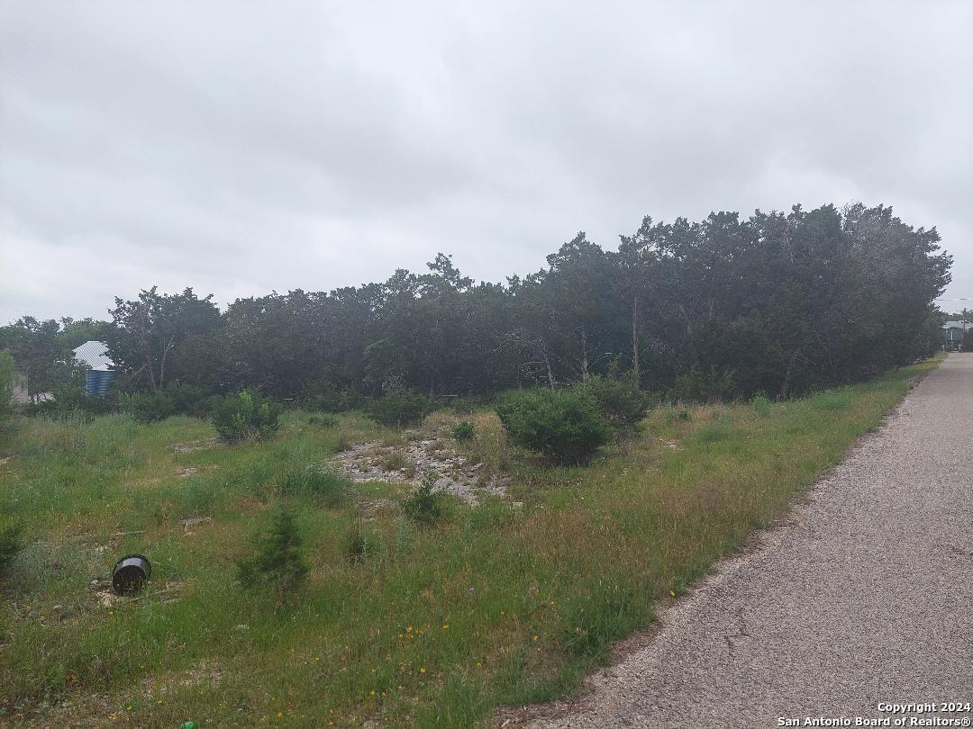 Image 4: Many trees