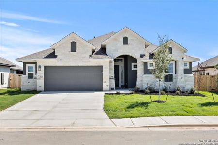 413 Canyon Live Oak