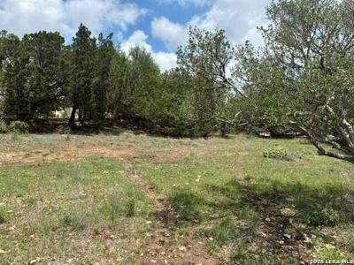 0 Live Oak Drive