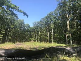 Moosic Lake L 19 k