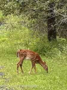 Lots 13-18 Park Ave 13