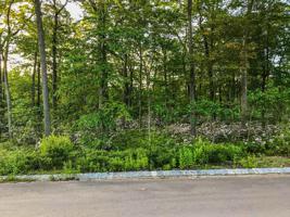 Lot 53 Hampshire Dr