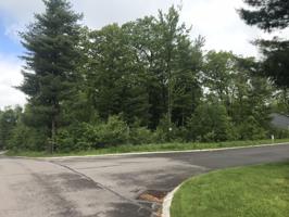 Lot 63 Sr 247