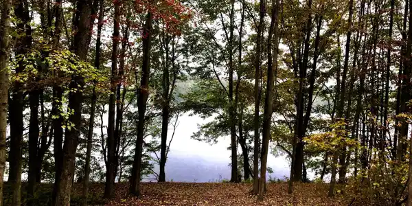 SR 2067 Lake Idlewild