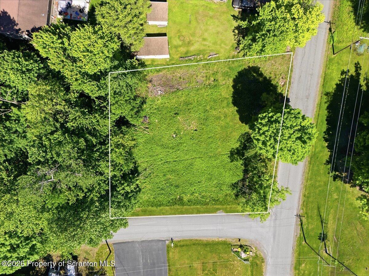 Image 4 Image 4