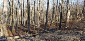 Lot 710 Sheffick Dr