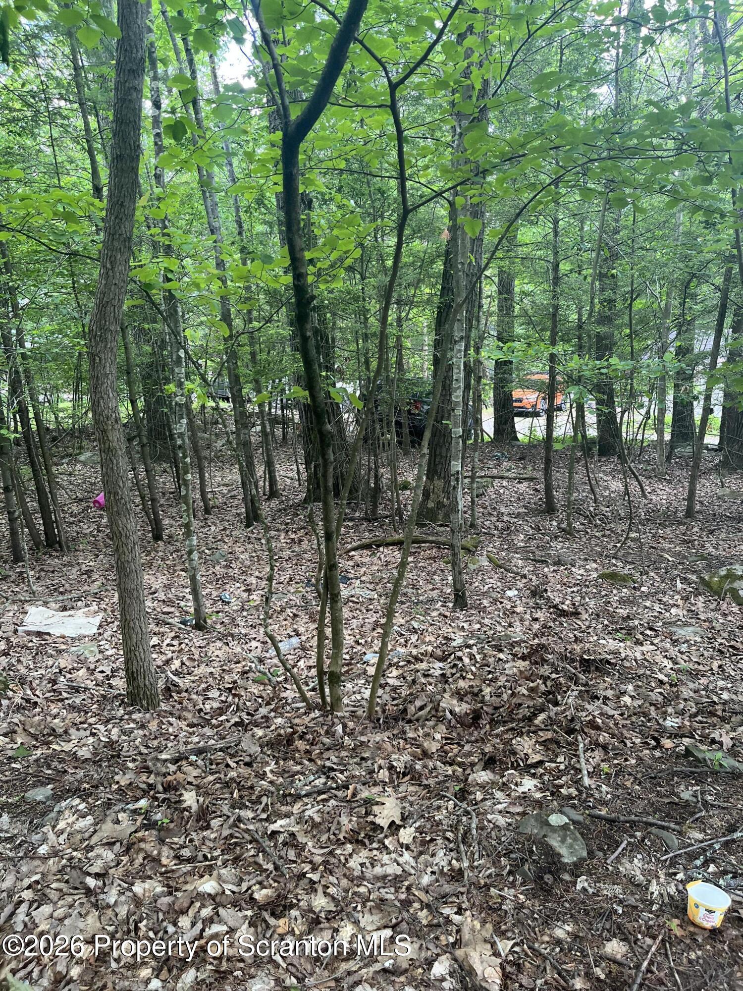 Image 2 Image 2