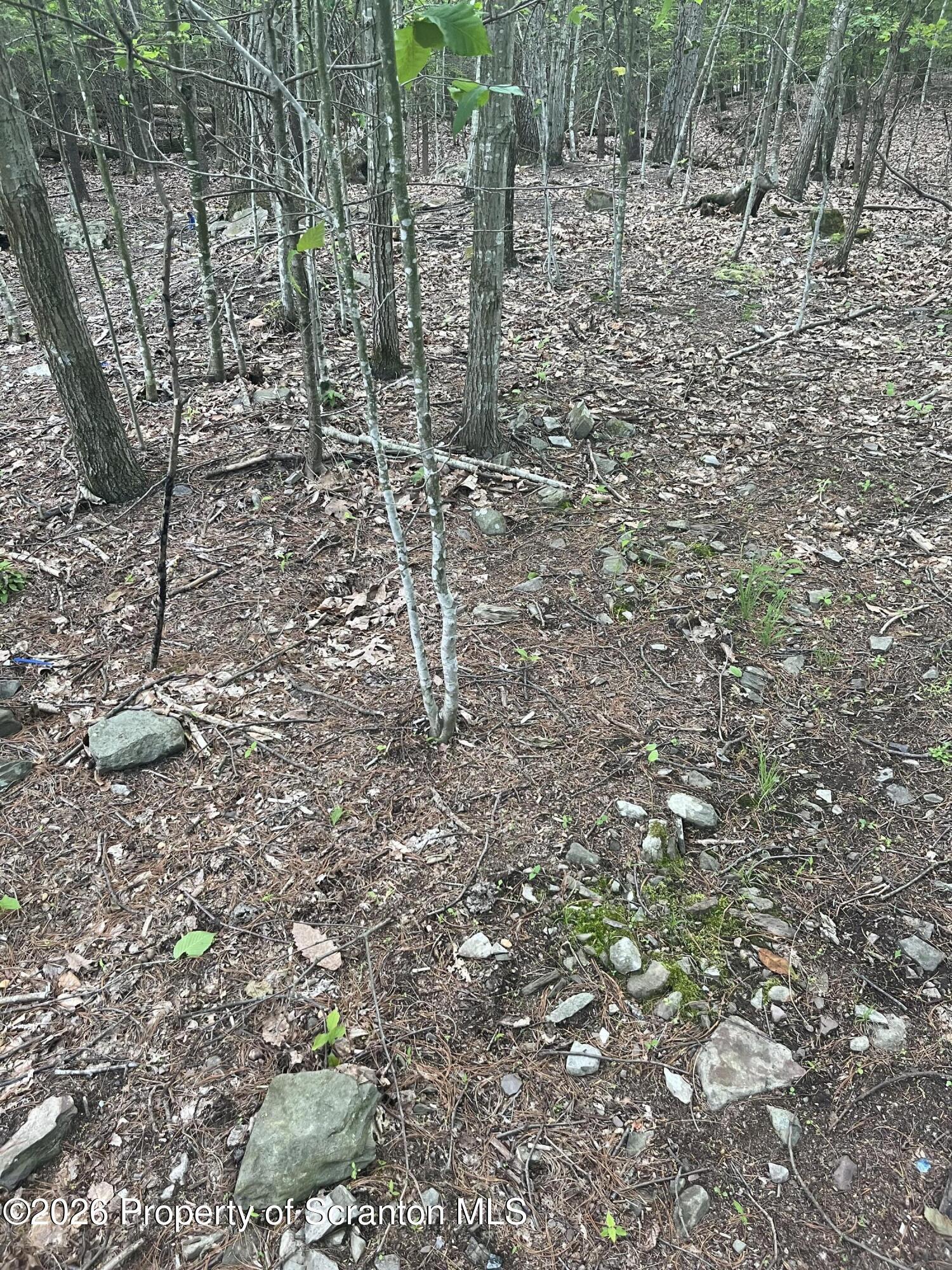 Image 3 Image 3