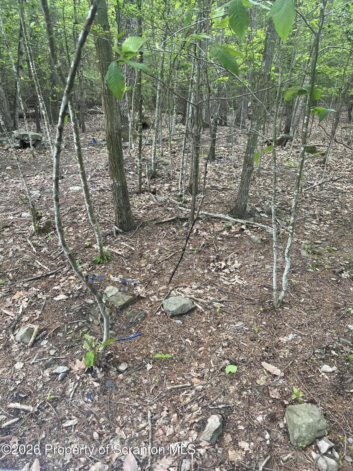 Image 4 Image 4