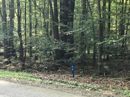 48 Sheffick Dr West