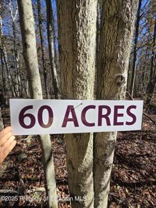 State Park Road Road