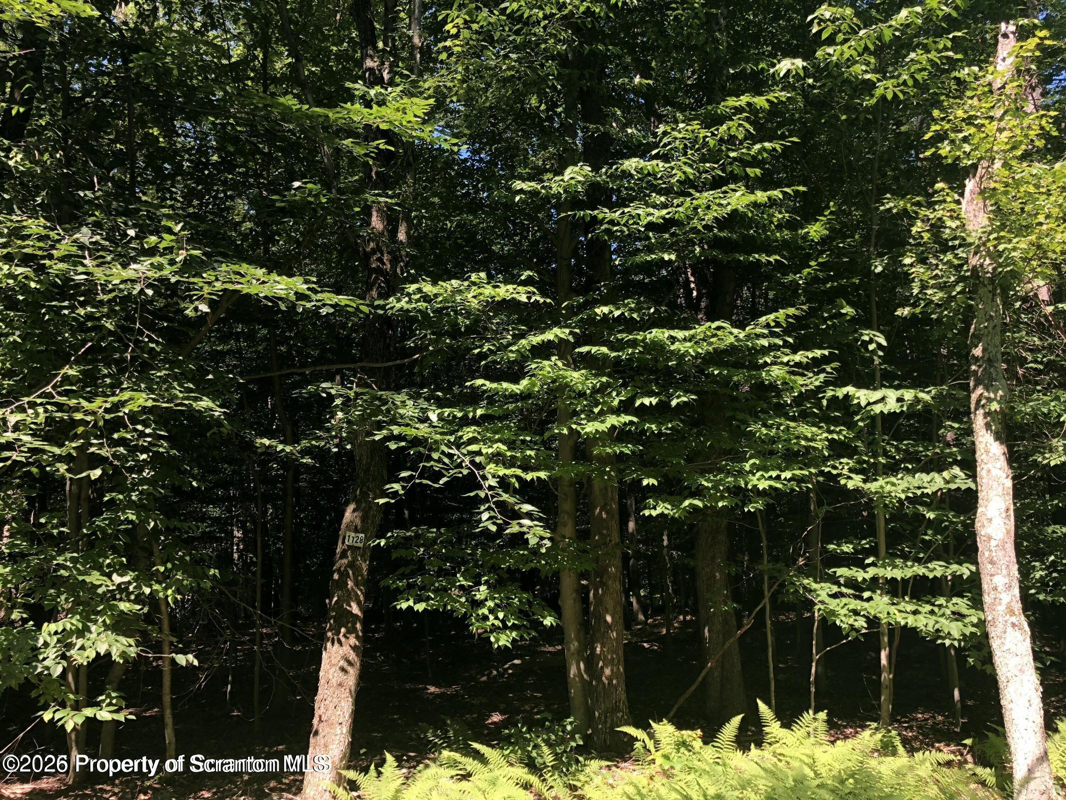 Image 1 Image 1