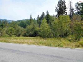 NNA Comeback Bay Lane - Lot 25