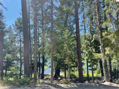 330 Pinto Point Rd.