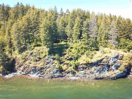 Lot 19 W Shoreline Ln