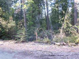 NKA Forest Dr