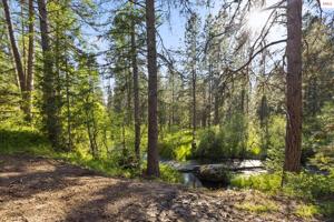 NKA Hidden Creek