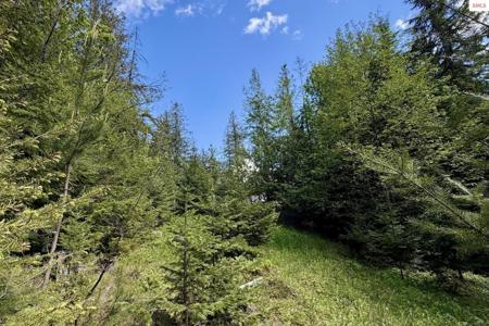 NNA Lot 4 Silver Reef Road