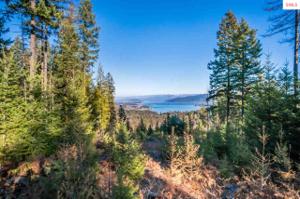 Lot 2 Delaney Dr.